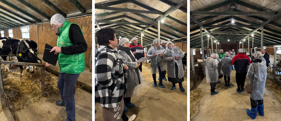 Cattle welfare seminar held by Family dairy farms