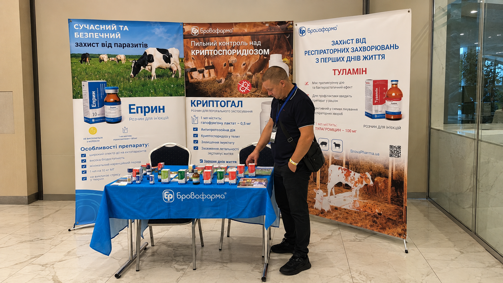 Сімейні молочні ферми на Dairy Farming Industry