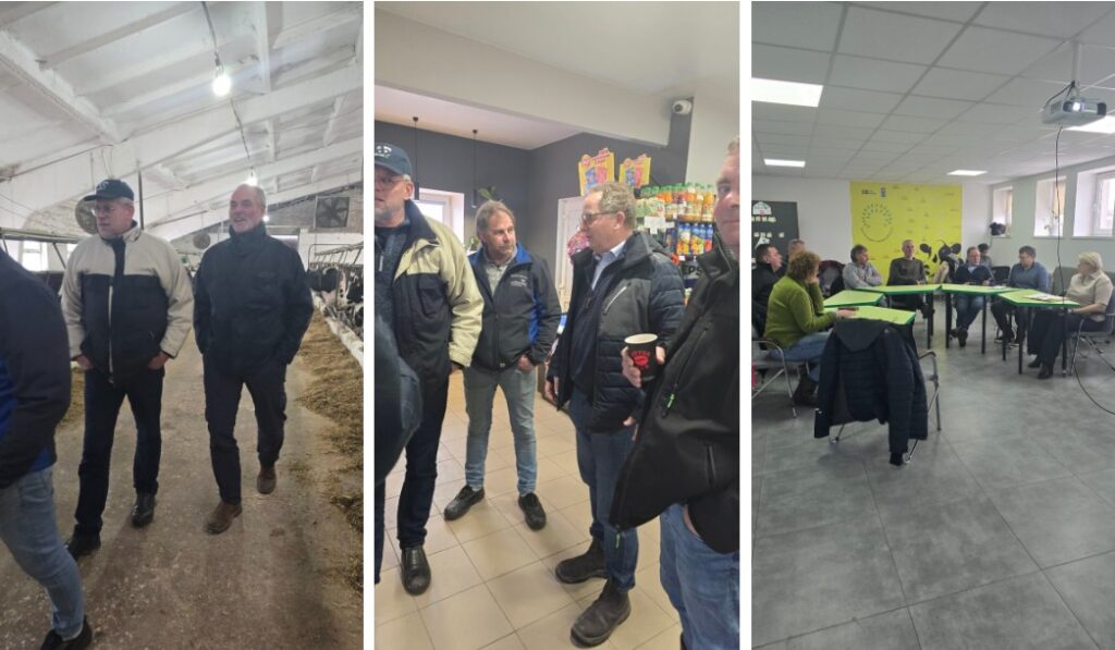 European delegation at Family Dairy Farms